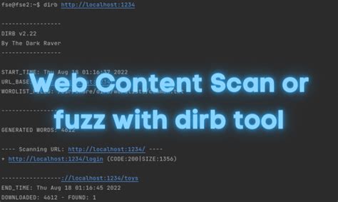 Dirb is a command line tool you can use to fuzz web sites or web apps. . Dirb fuzz